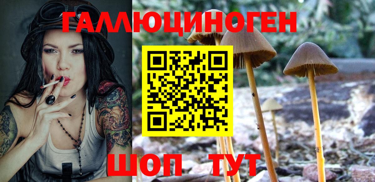 где продают наркотики  Псилоцибиновые грибы ЛСД  Саратов  Вход с VPN  Галлюциногенные грибы Psilocybine cubensis 